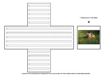 Lapbook-Minibuch-Faltform-Tiger-1-5.pdf